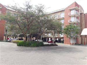 1 Bed Flat in Hillcrest