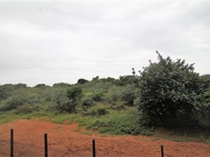 2 Bed Apartment in Umdloti