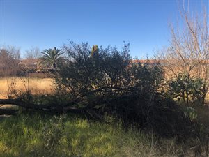 1428 m² Land available in Die Bult
