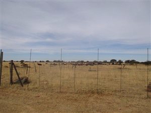 60 ha Farm in Wolmaranstad