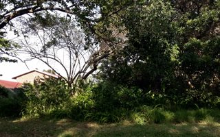 1016 m² Land available in Leisure Bay