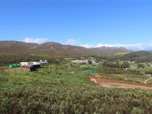 4 ha Farm in Tesselaarsdal