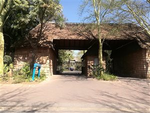 1 Bed Apartment in Sunninghill