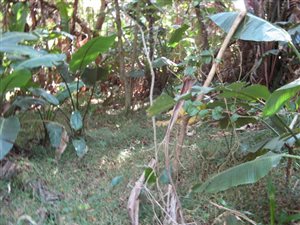 2129 m² Land available in Southbroom