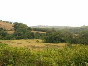577 m² Land available in Sea Park