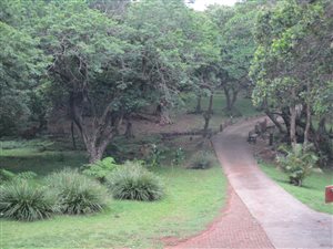 3449 m² Land available in Palm Beach
