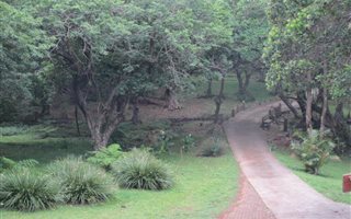 3449 m² Land available in Palm Beach