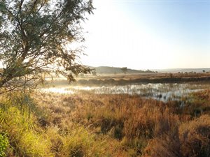 150 ha Farm in Roodeplaat