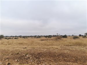 9 ha Land available in Polokwane Central