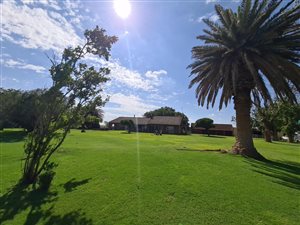 137 ha Farm in Bainsvlei