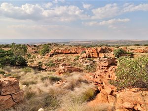 37 ha Farm in Bashewa