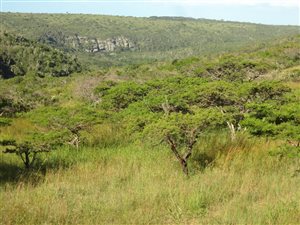 14.5 ha Land available in Kwelera