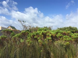1276 m² Land available in Bettys Bay