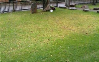 3 Bedroom House in Ben Fleur