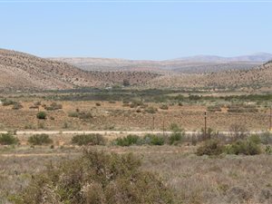 1503 m² Land available in Willowmore
