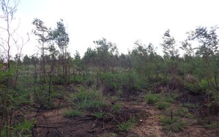 333 m² Land available in Rietfontein