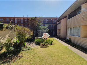 1 Bed Apartment in Lambton
