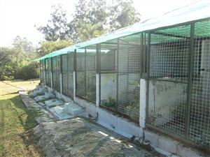 2.4 ha Farm in Plaston