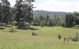 260 ha Farm in Newcastle Central