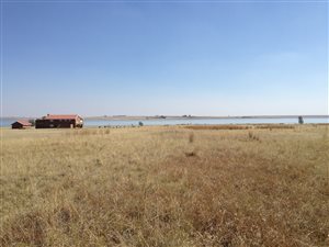 2 ha Farm in Oranjeville