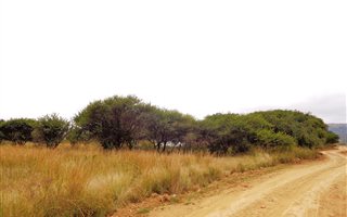 8.4 ha Farm in Pienaarspoort