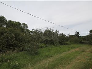 1225 m² Land available in Bathurst and Surrounds
