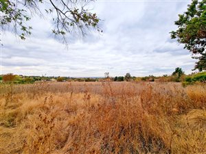 2.1 ha Land available in Randjesfontein