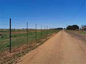 Farm in Ogies