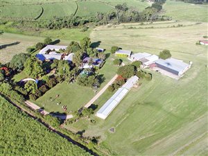 2000 m² Commercial space in Camperdown