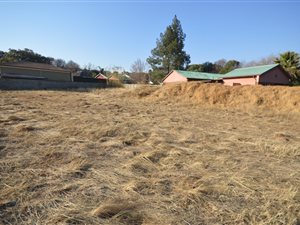 1000 m² Land available in Sunnyridge