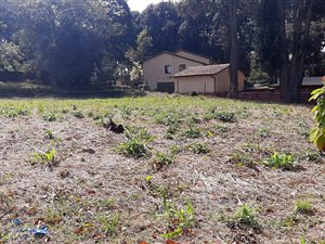 1800 m² Land available in Clifton Park