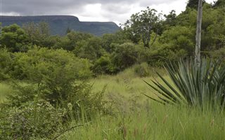 2681 m² Land available in Ohrigstad