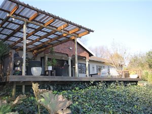 4 Bed House in Hilton