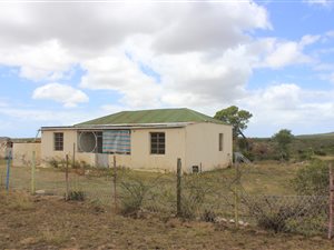 166 ha Farm in Albertinia