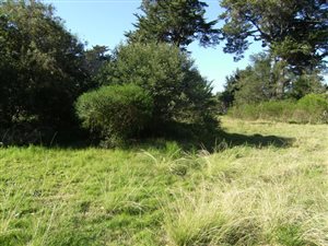 753 m² Land available in Lake Brenton