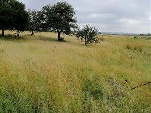3 ha Farm in Timsrand AH