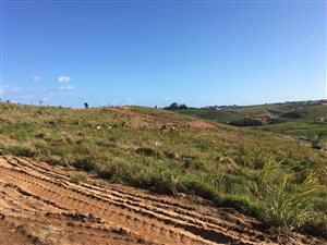 2089 m² Land available in Sheffield Beach