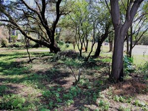 1.6 ha Land available in Monavoni
