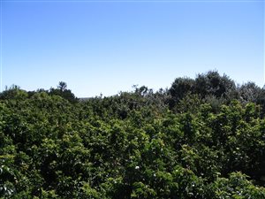 743 m² Land available in Merryhill