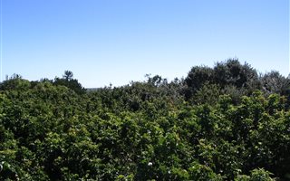 743 m² Land available in Merryhill