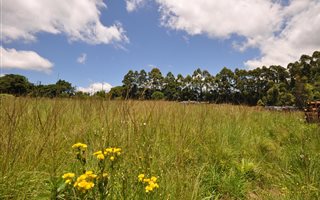 3.6 ha Land available in Worlds View
