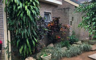 4 Bedroom House in Sydenham