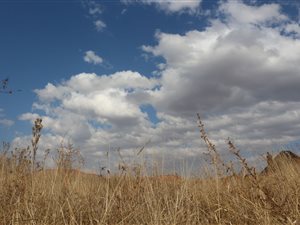 1260 m² Land available in Baillie Park