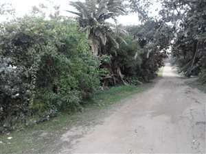 1409 m² Land available in Glenmore