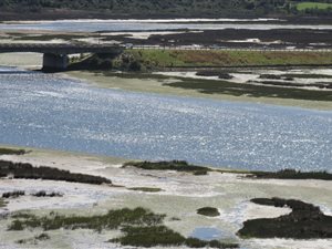 2.9 ha Farm in Brenton on Sea