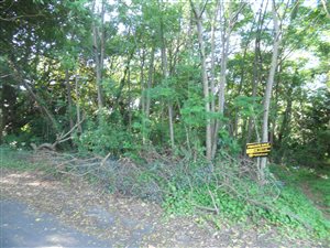 6544 m² Land available in Craigieburn