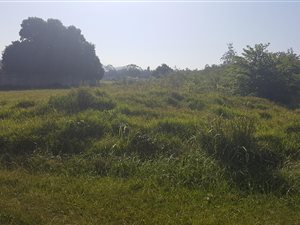 1553 m² Land available in Eshowe