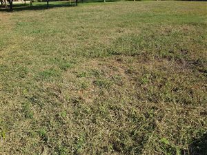 15.4 ha Land available in Wolmaranspoort AH