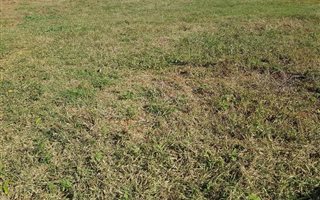 15.4 ha Land available in Wolmaranspoort AH