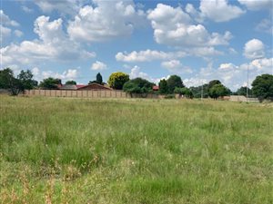 1000 m² Land available in Struisbult